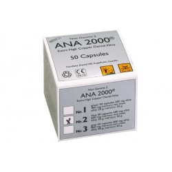 ANA 2000 Nº 1