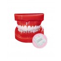 TIPODONTO CON BRACKETS CERAMICOS