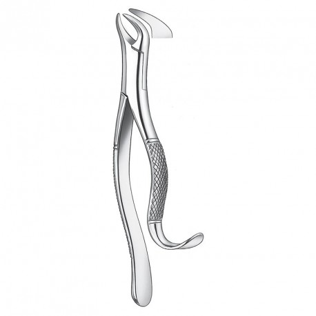FORCEPS MOL.INF. C.VACA  409/16 CARL MARTIN